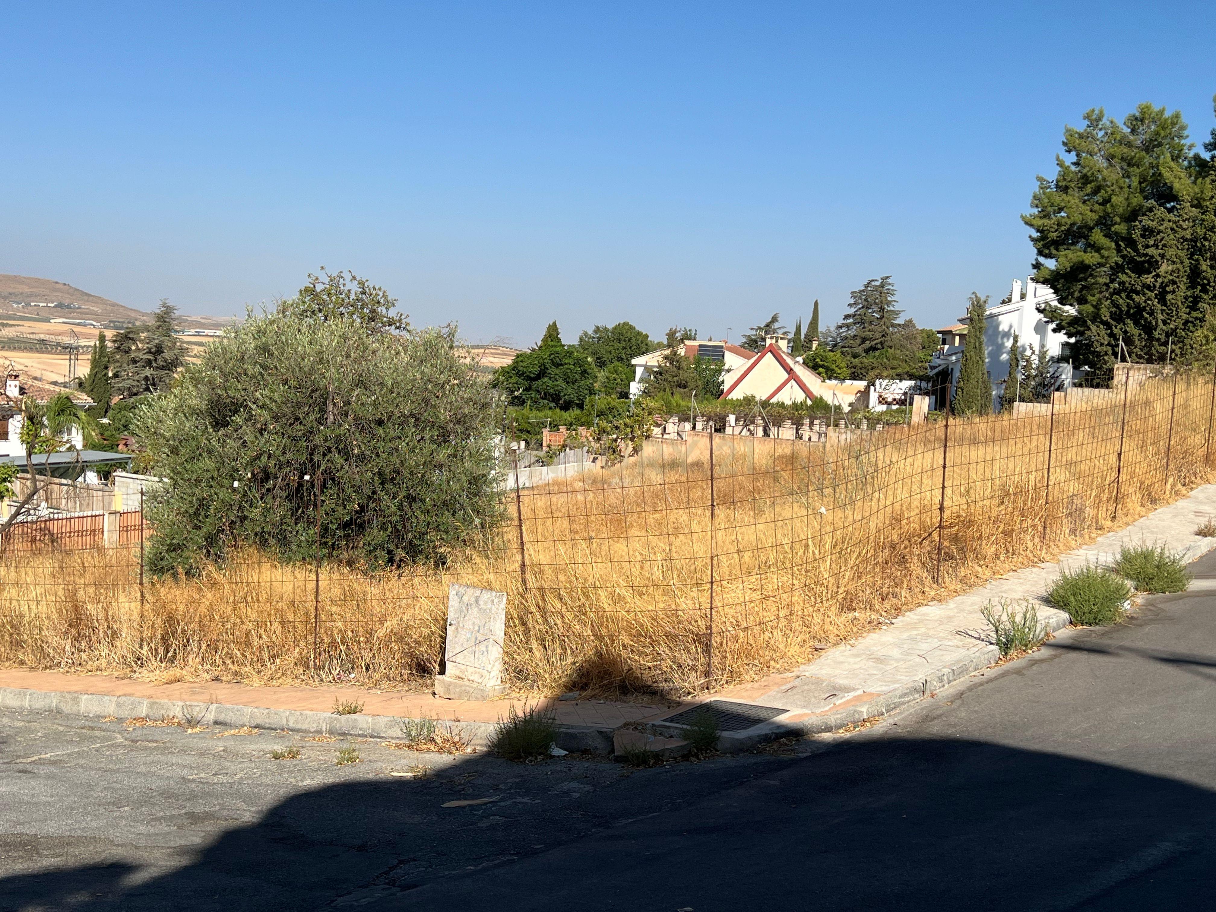 undefined - Image 17