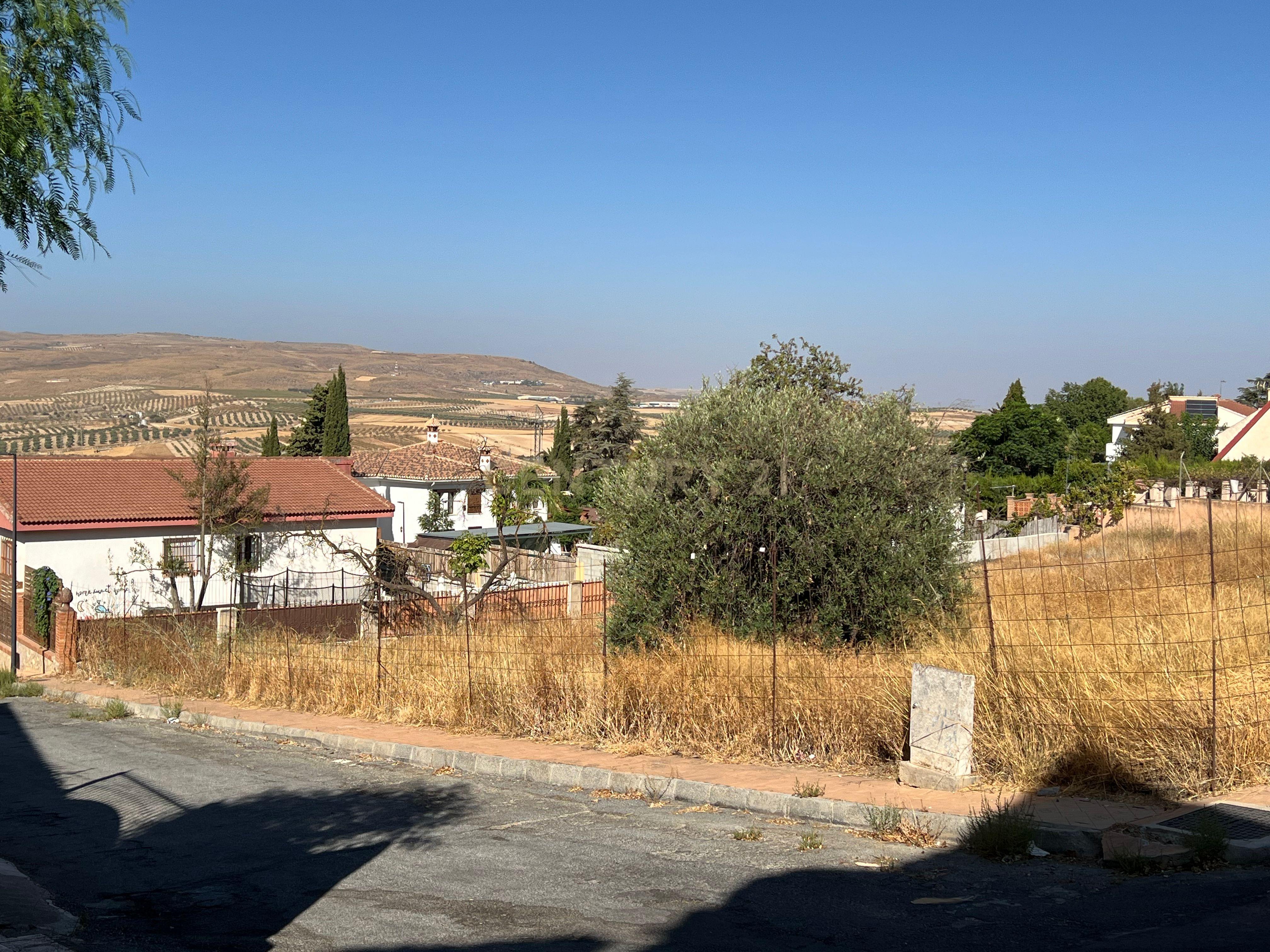 undefined - Image 5
