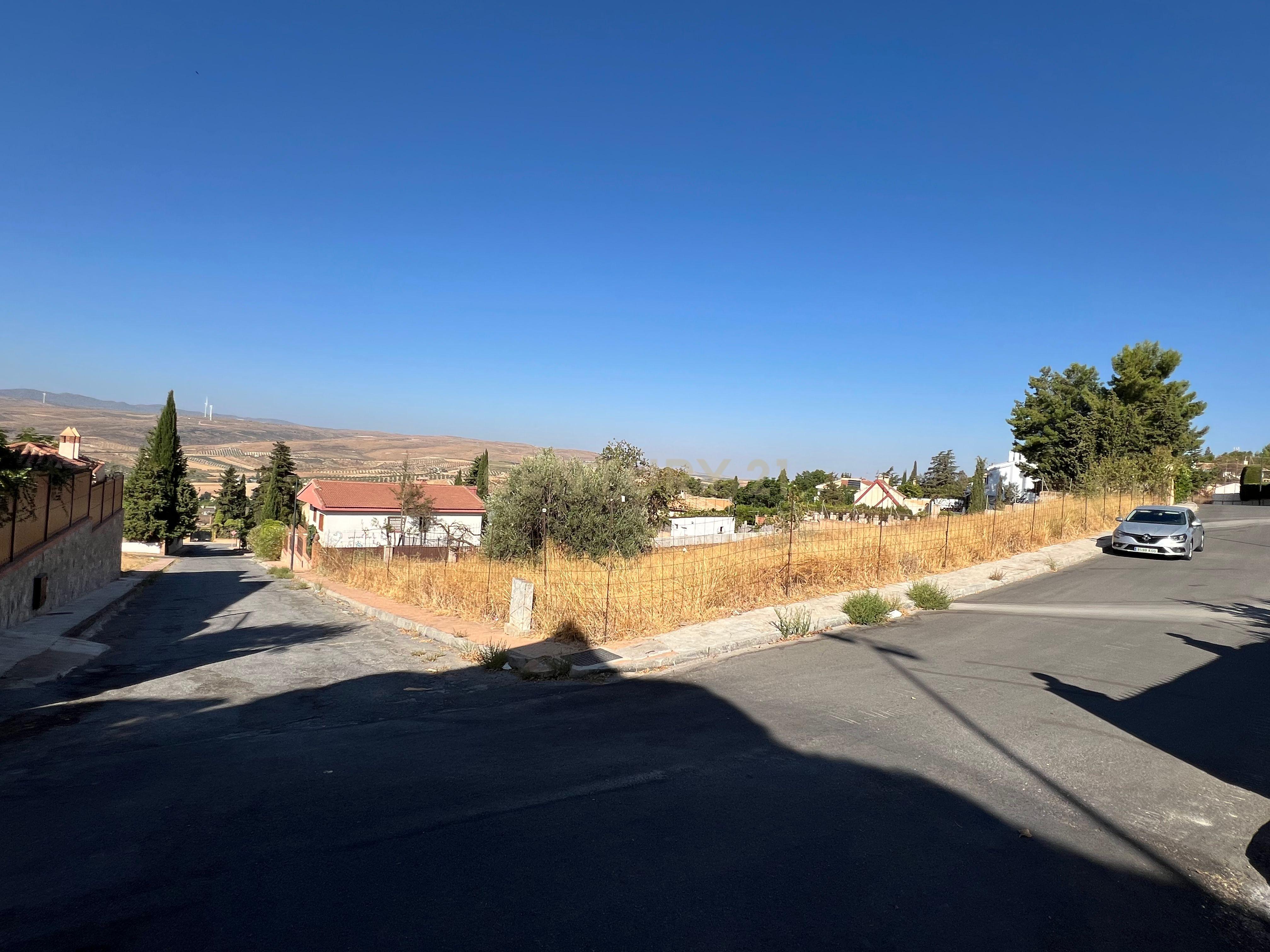 undefined - Image 6