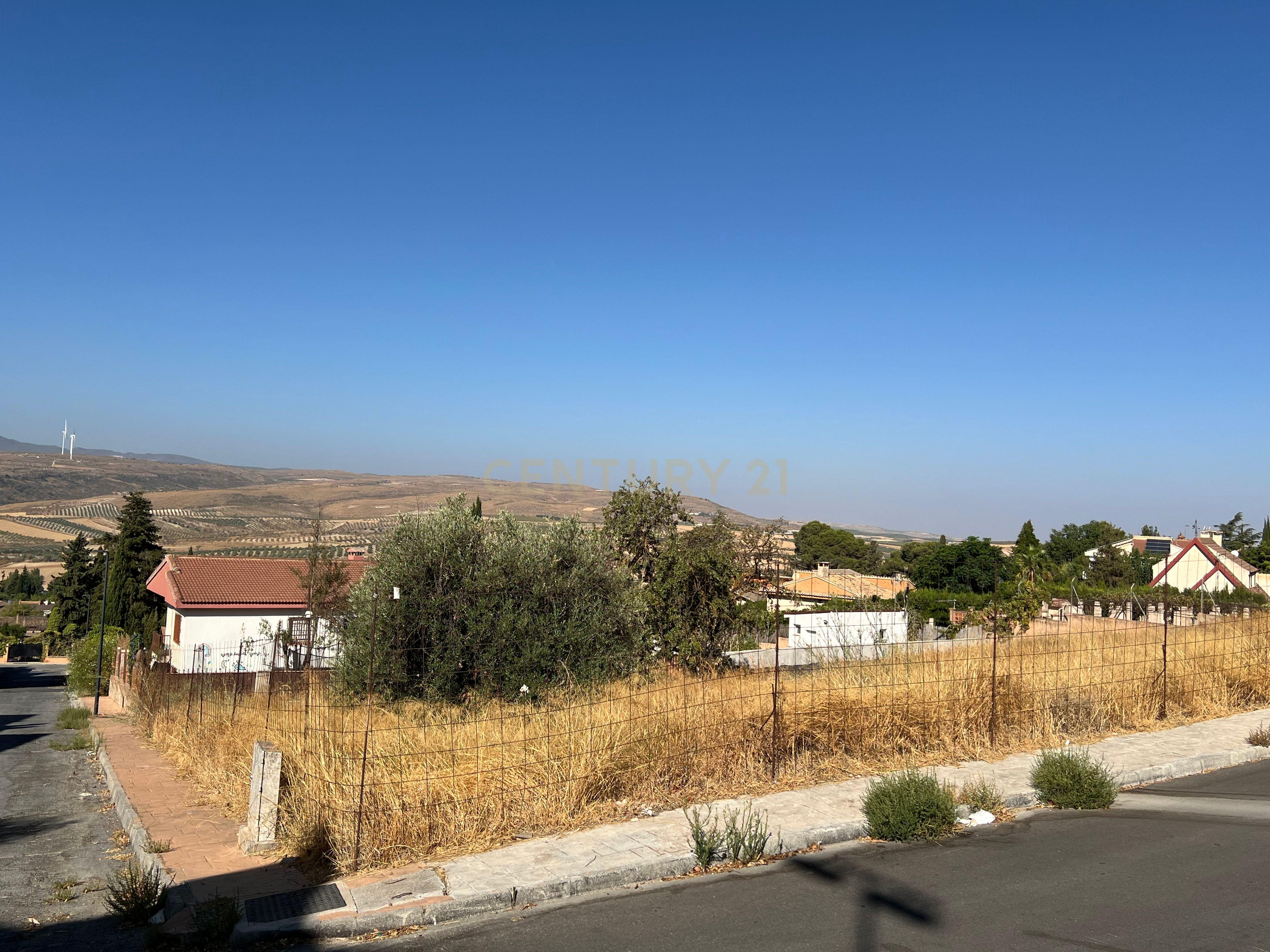 undefined - Image 11