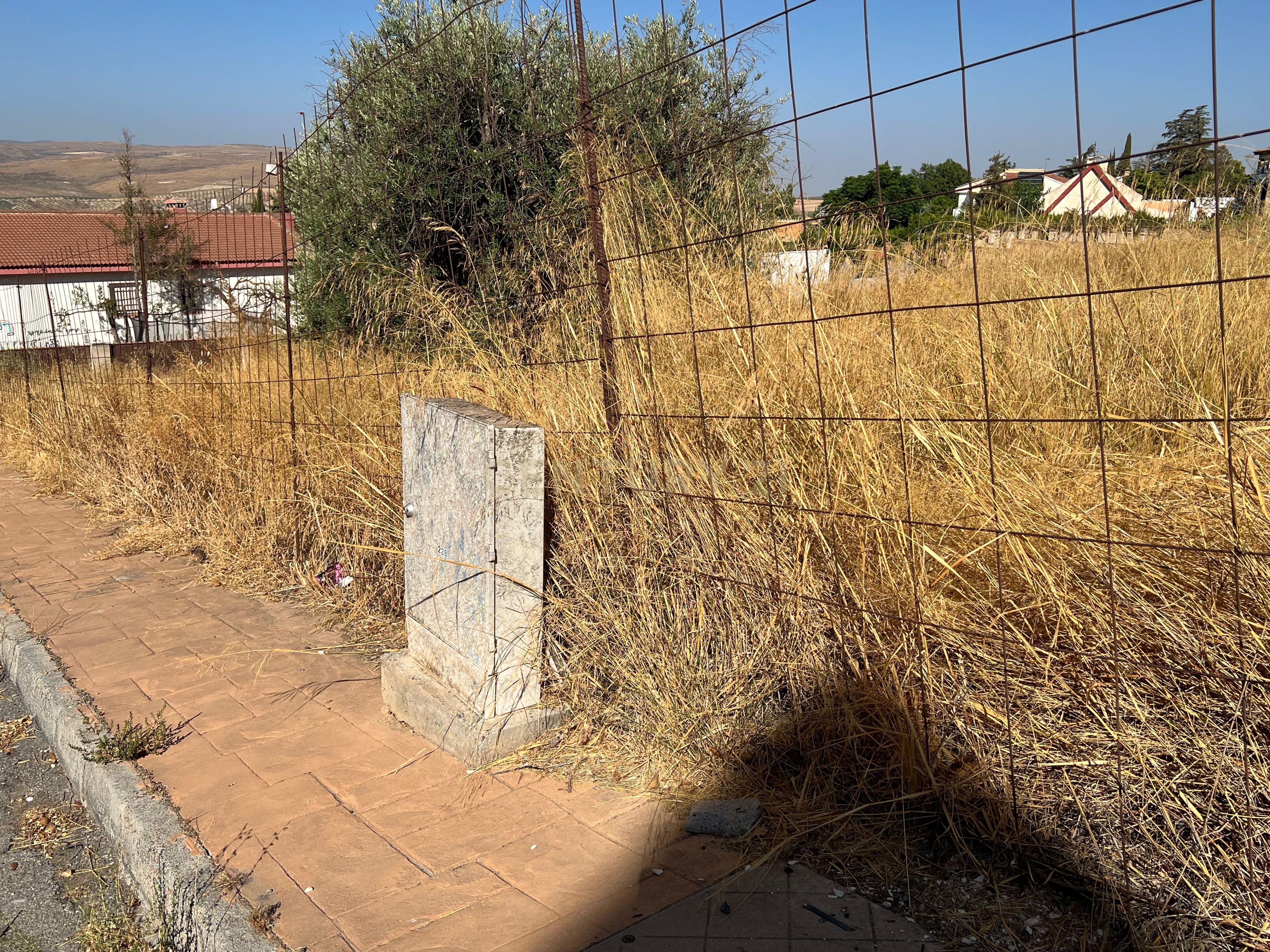 undefined - Image 12