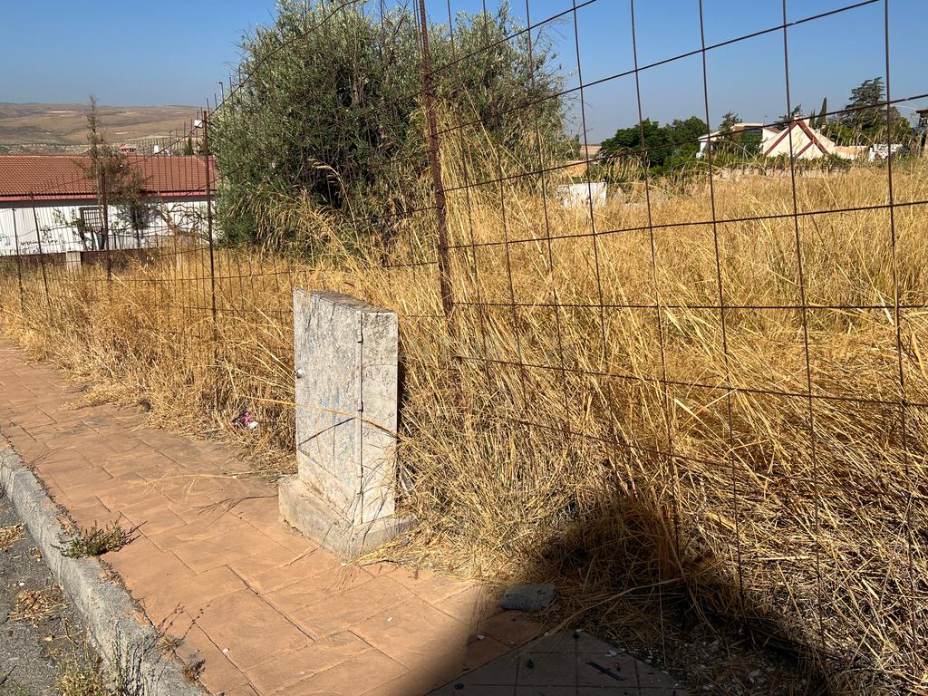 undefined - Image 12