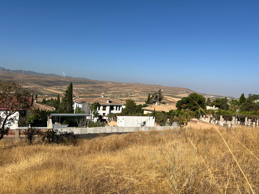 undefined - Image 16