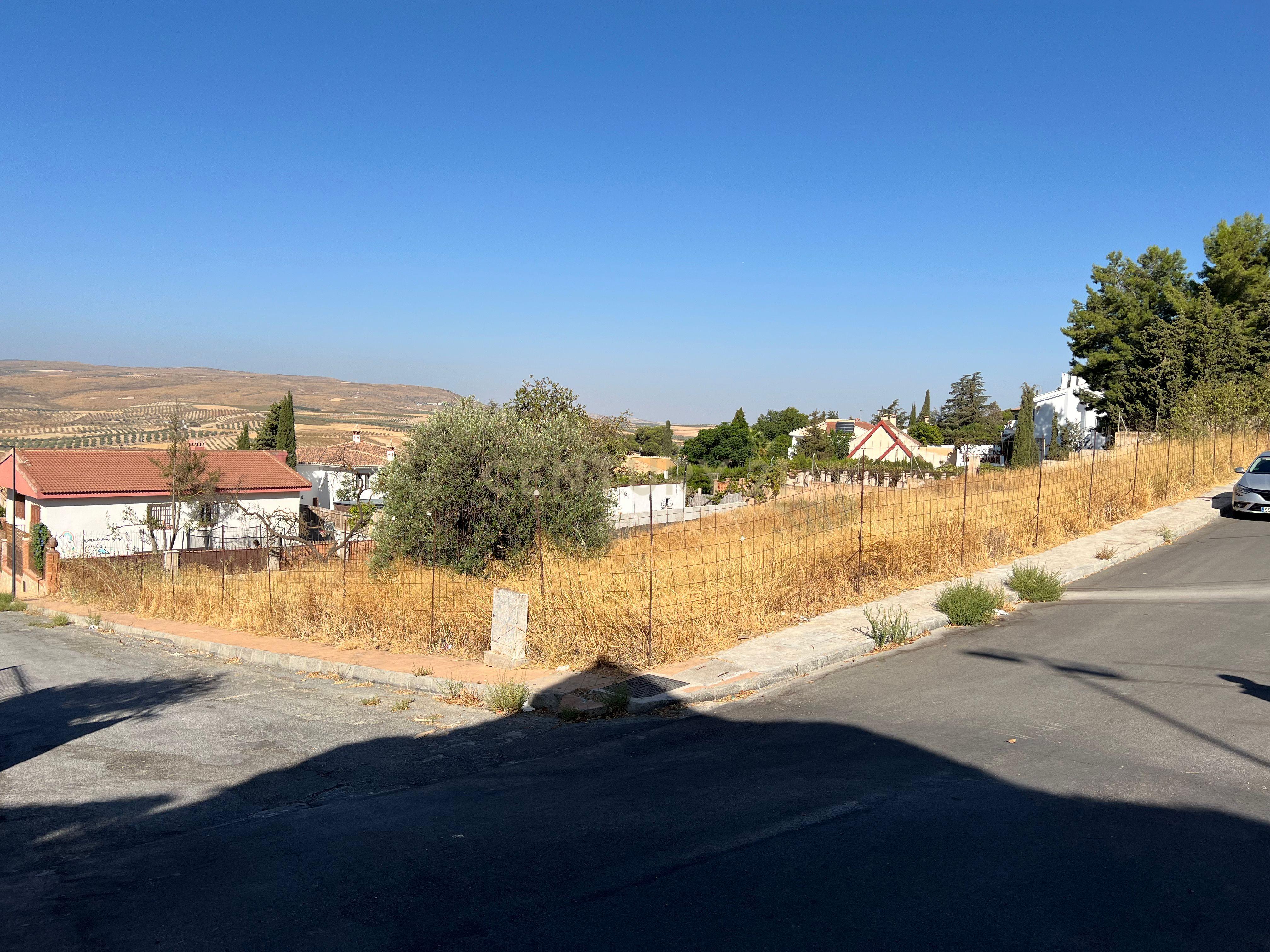 undefined - Image 15