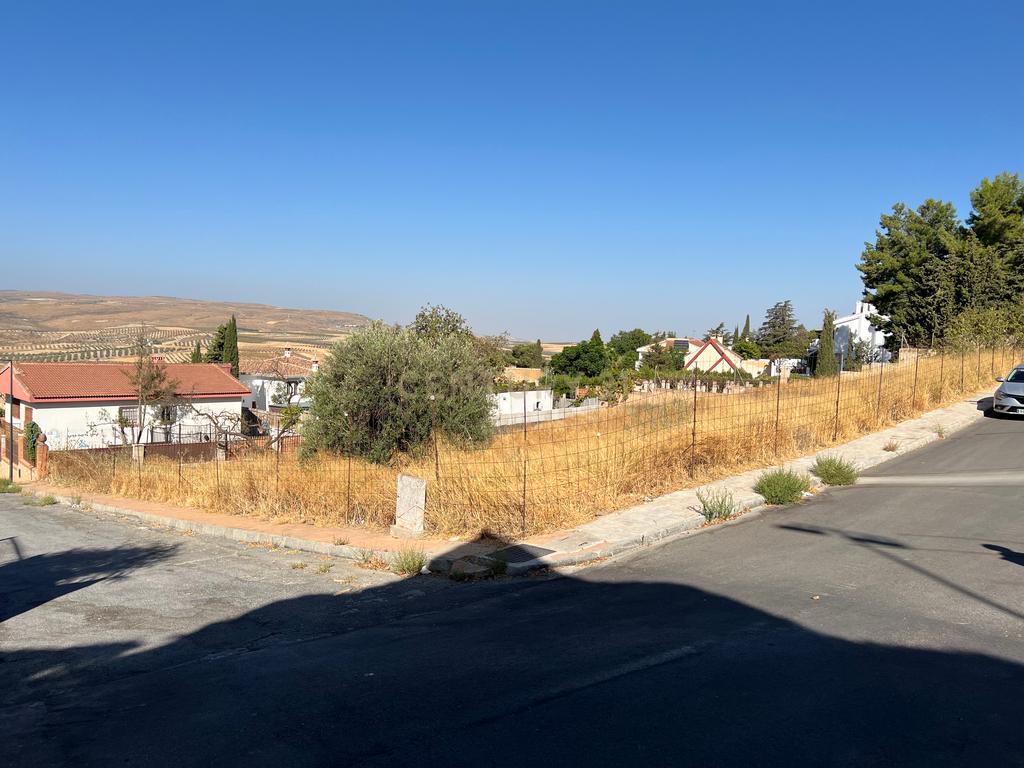undefined - Image 15