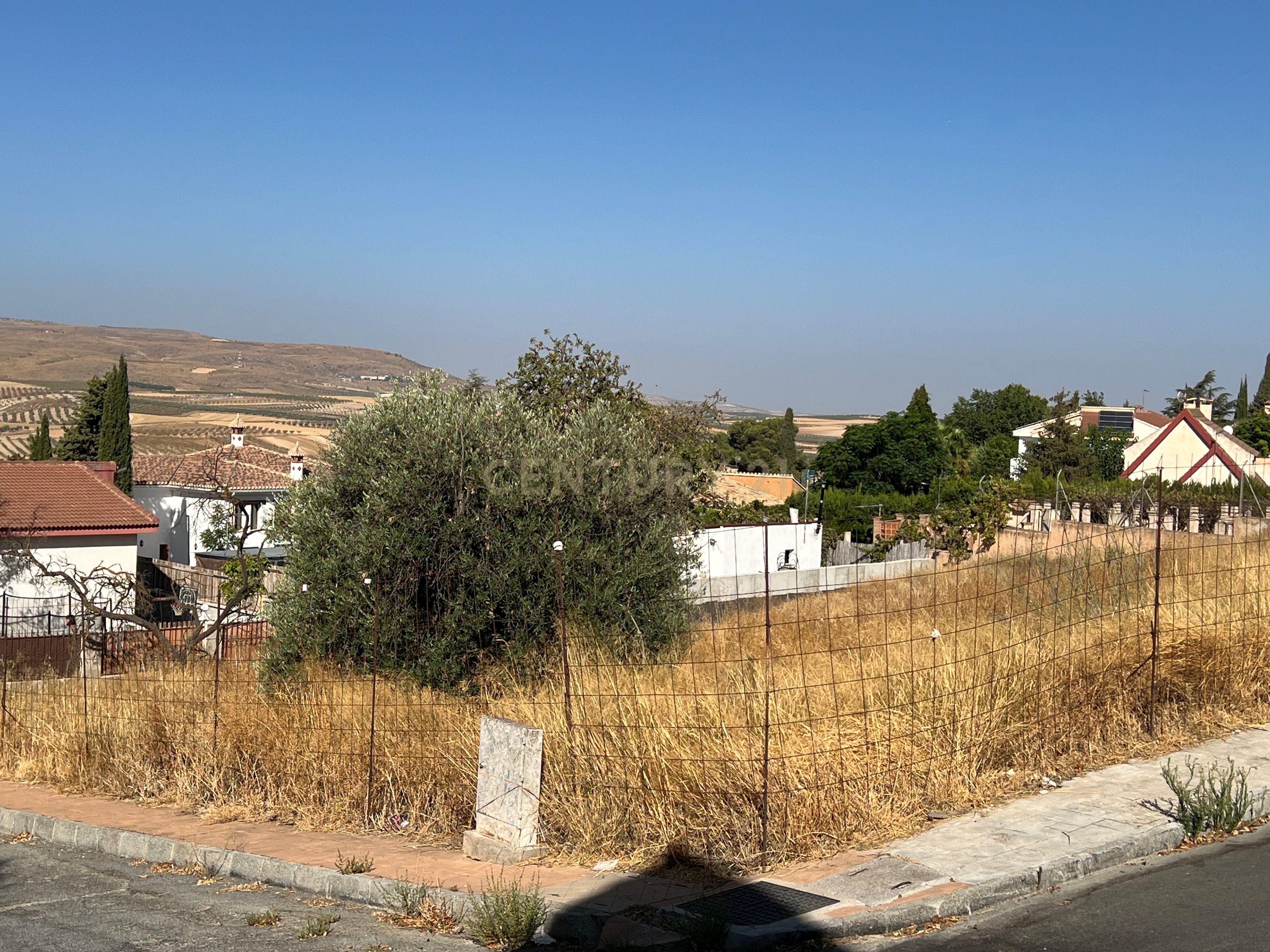 undefined - Image 25