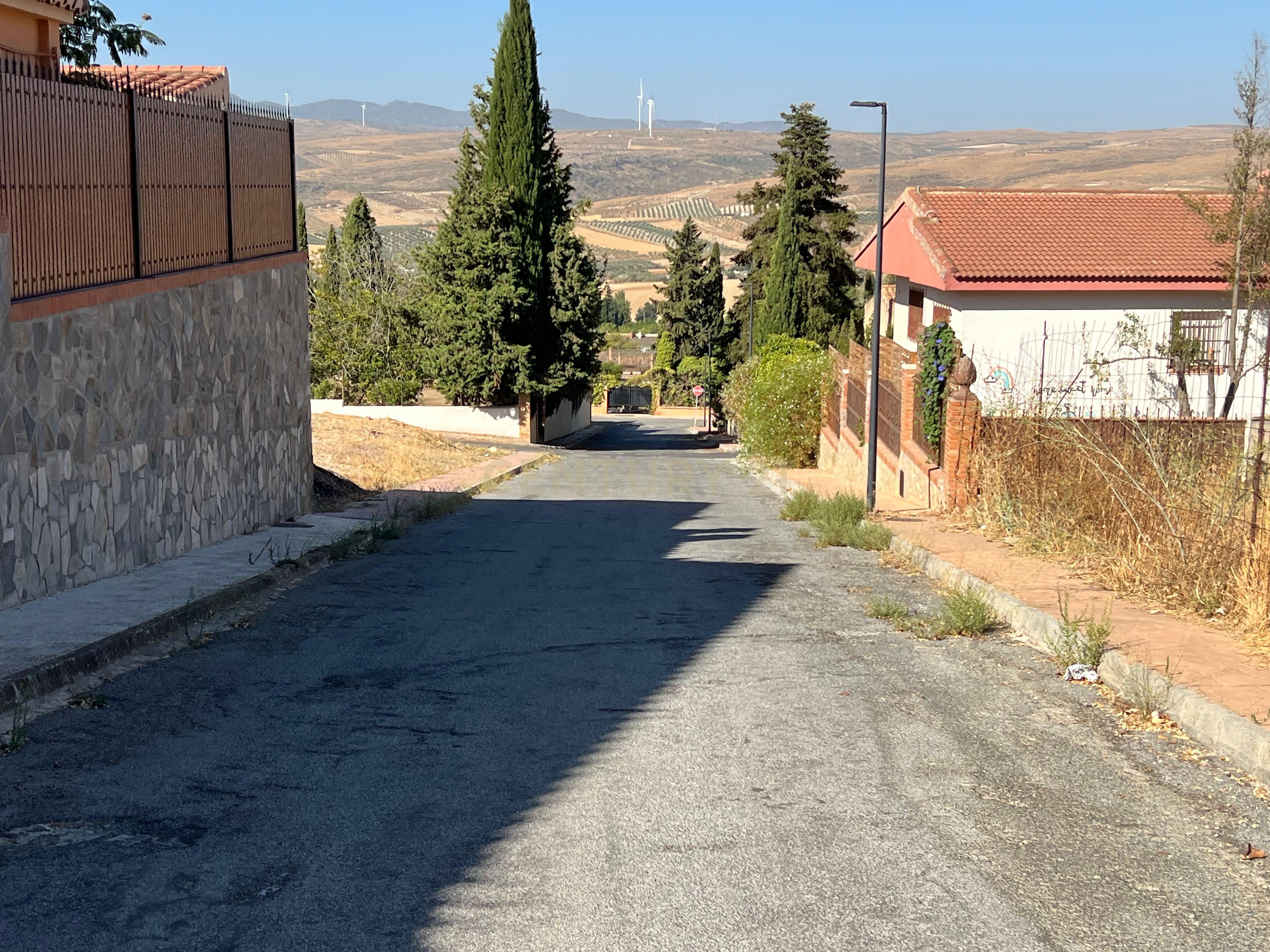 undefined - Image 20