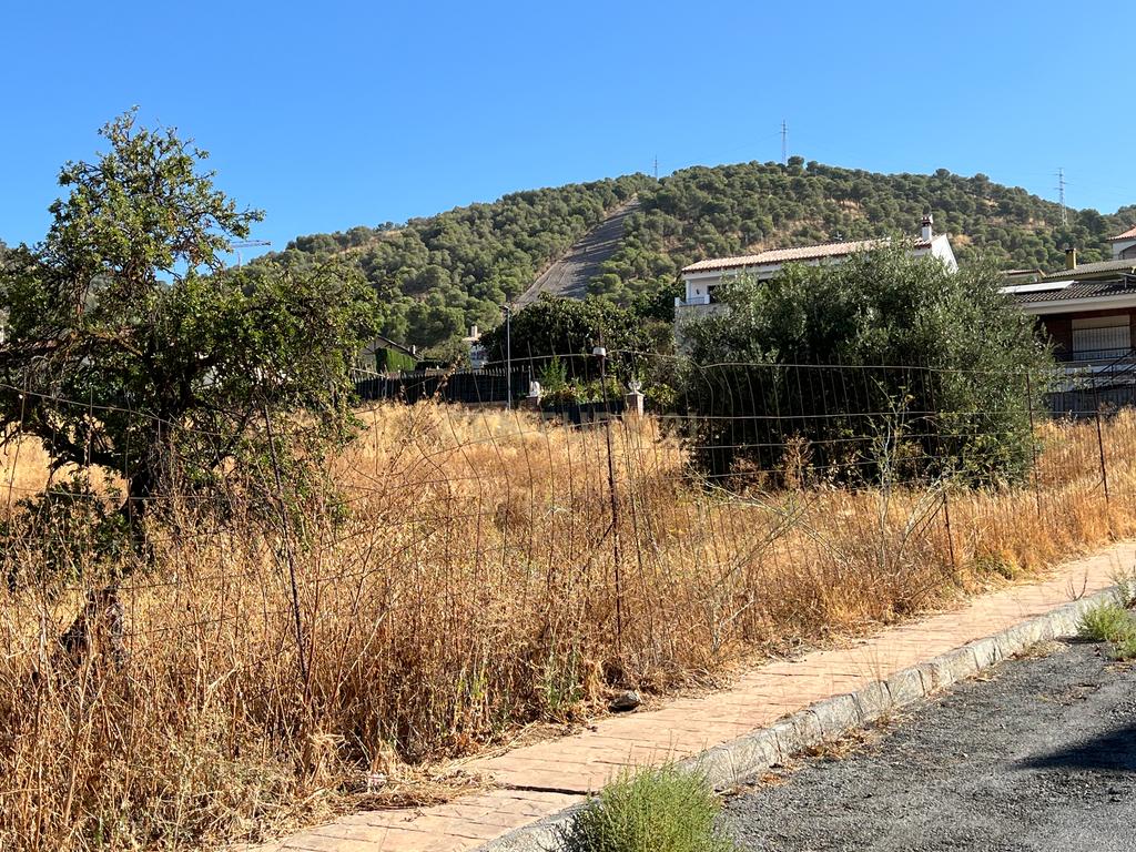 undefined - Image 19