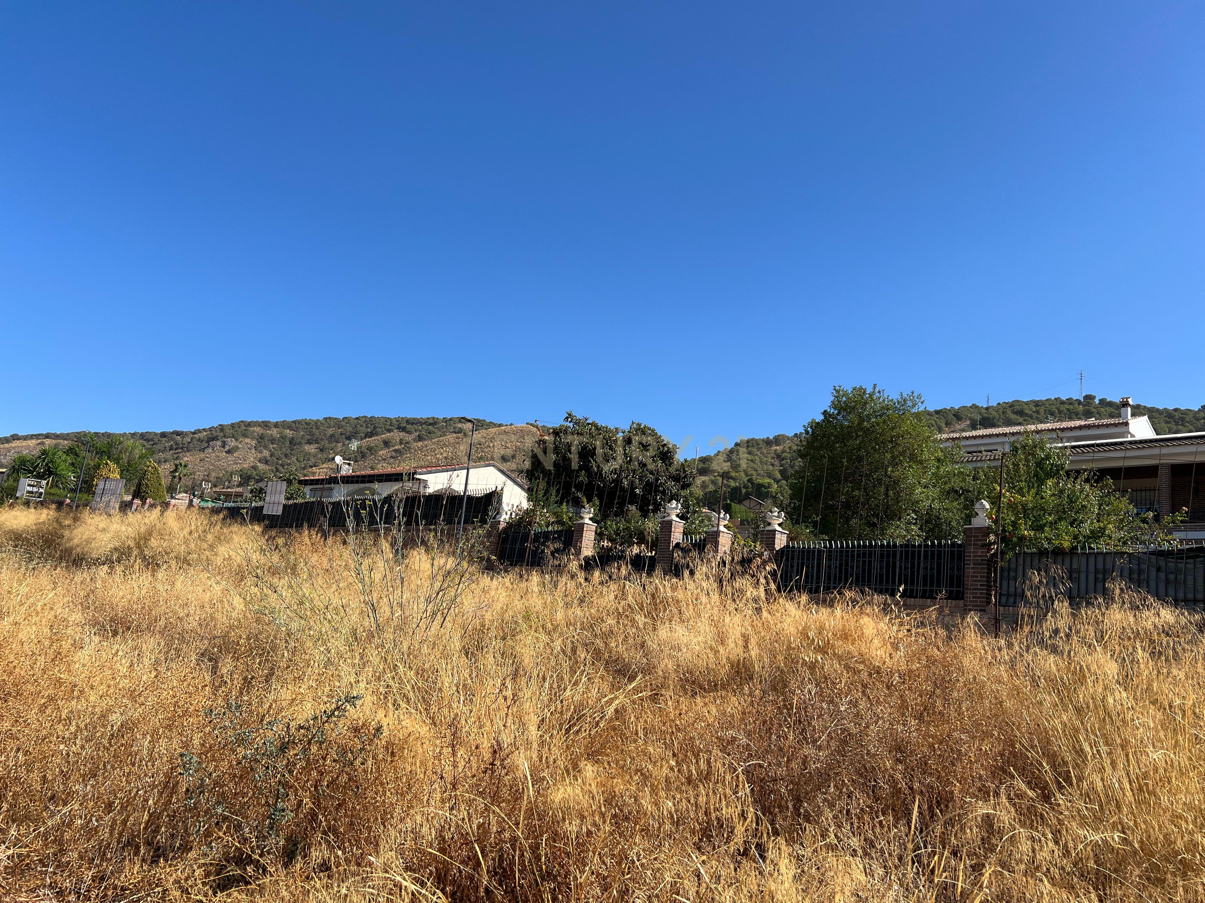 undefined - Image 34