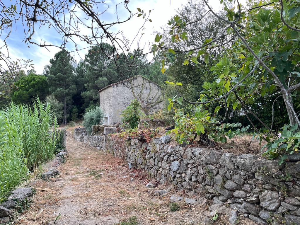 QUINTA T5 - REGUENGO - PORTALEGRE - Image 33