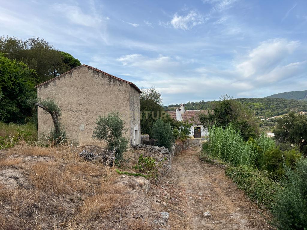QUINTA T5 - REGUENGO - PORTALEGRE - Image 41