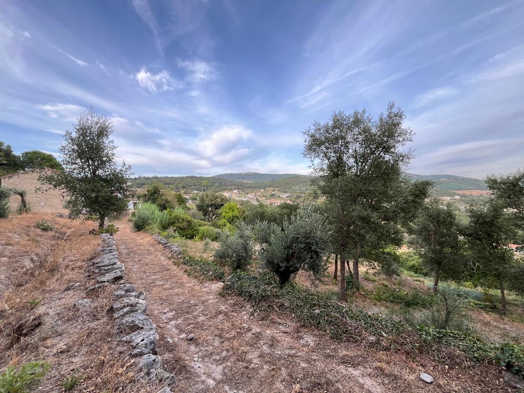QUINTA T5 - REGUENGO - PORTALEGRE - Image 38
