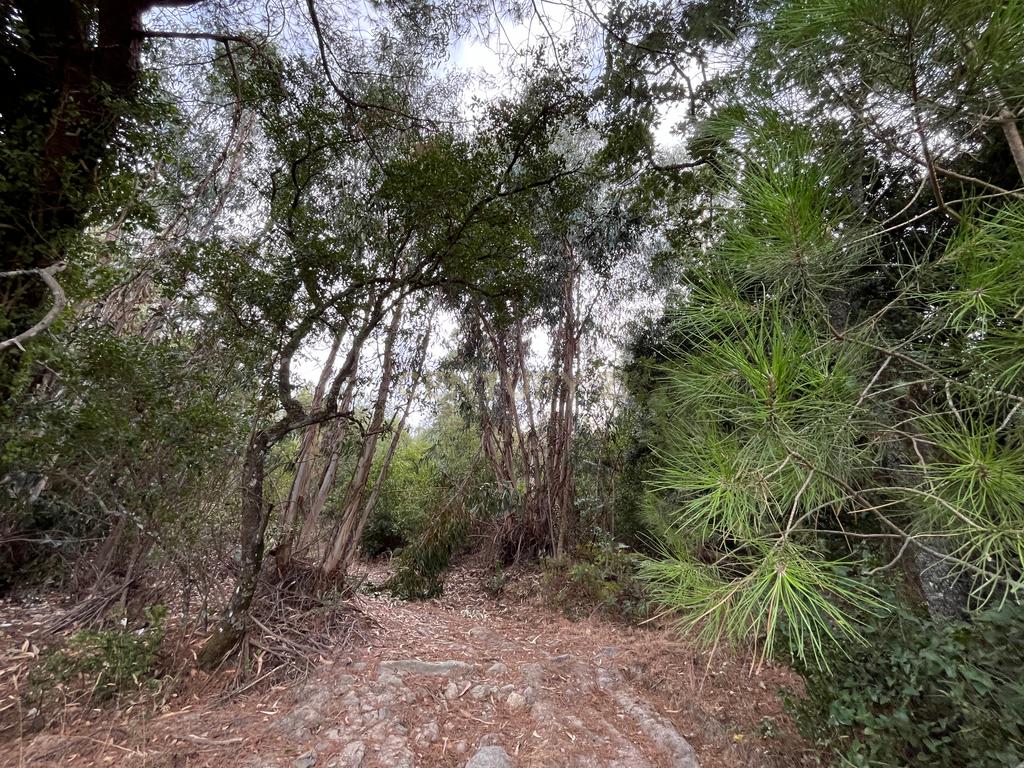 QUINTA T5 - REGUENGO - PORTALEGRE - Image 39