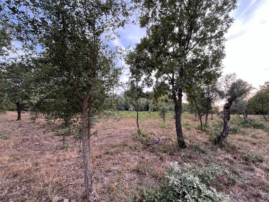 QUINTA T5 - REGUENGO - PORTALEGRE - Image 40