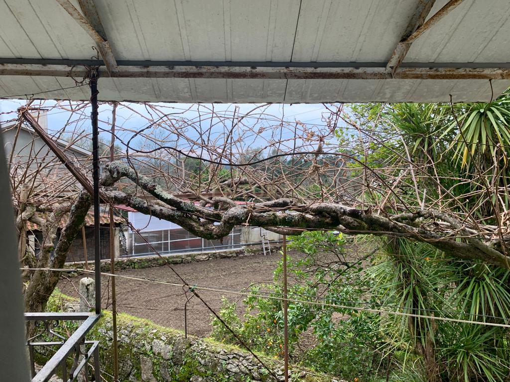 Casa Isolada em Póvoa de Lanhoso com Jardim e Garagem - Image 22