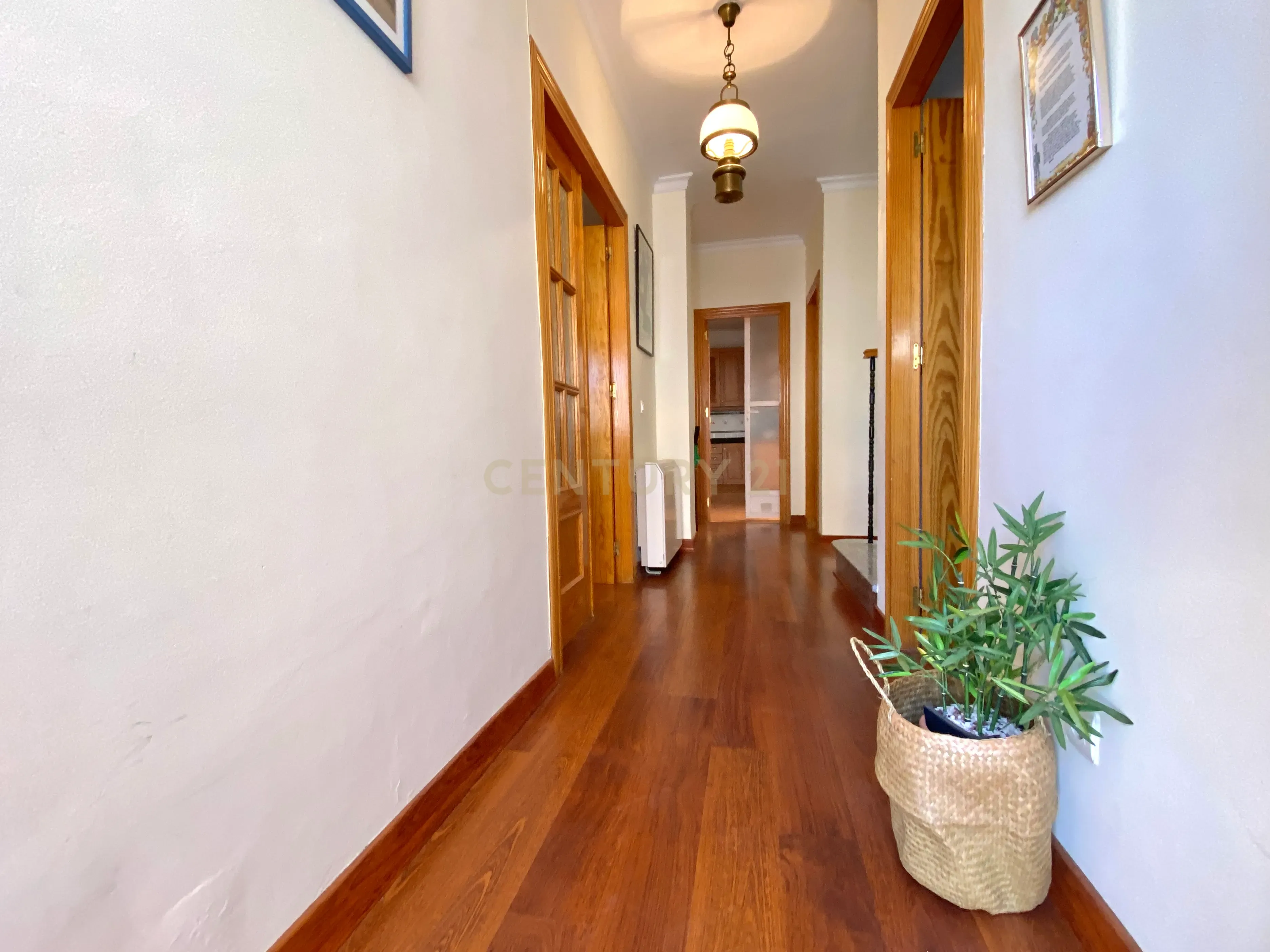 undefined - Image 51