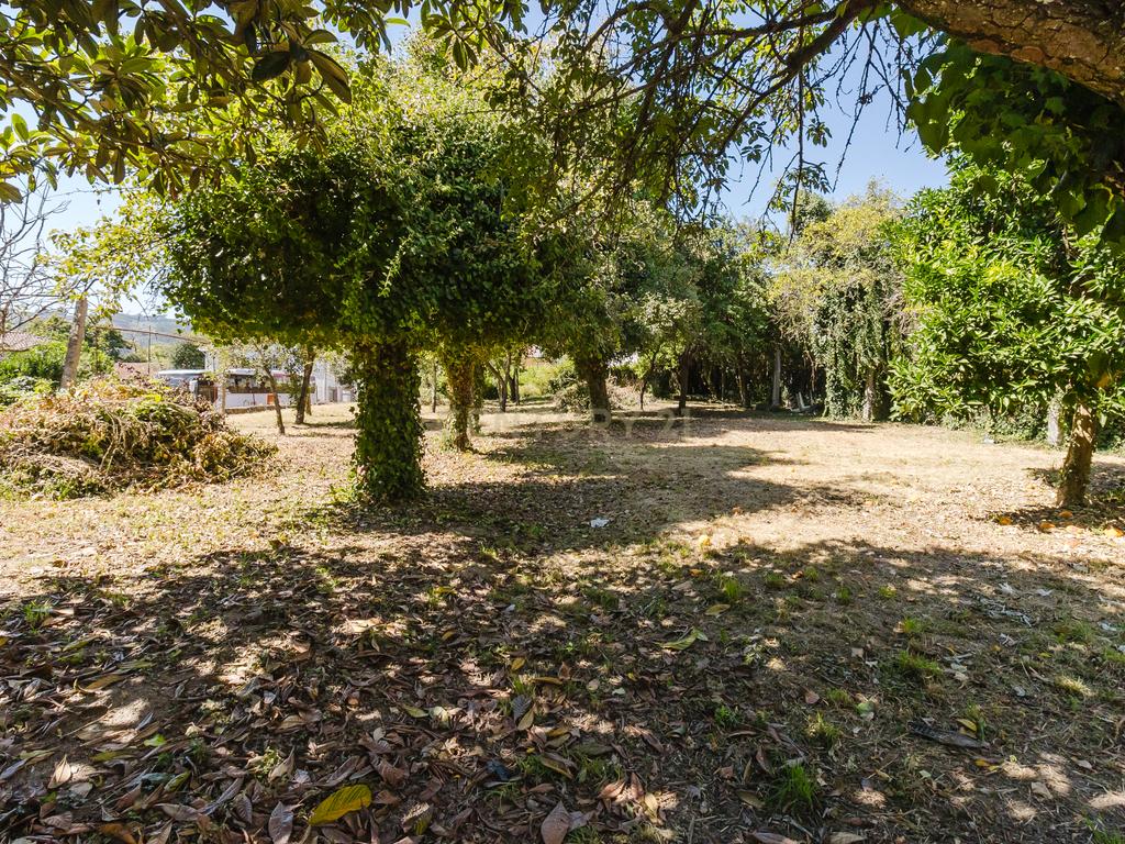 Venda de Terreno em Caldas das Taipas com Projeto Aprovado em Guimarães - Oportunidade Única para Investidores - Image 12