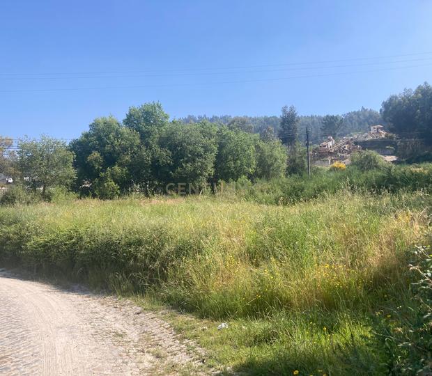 Terreno