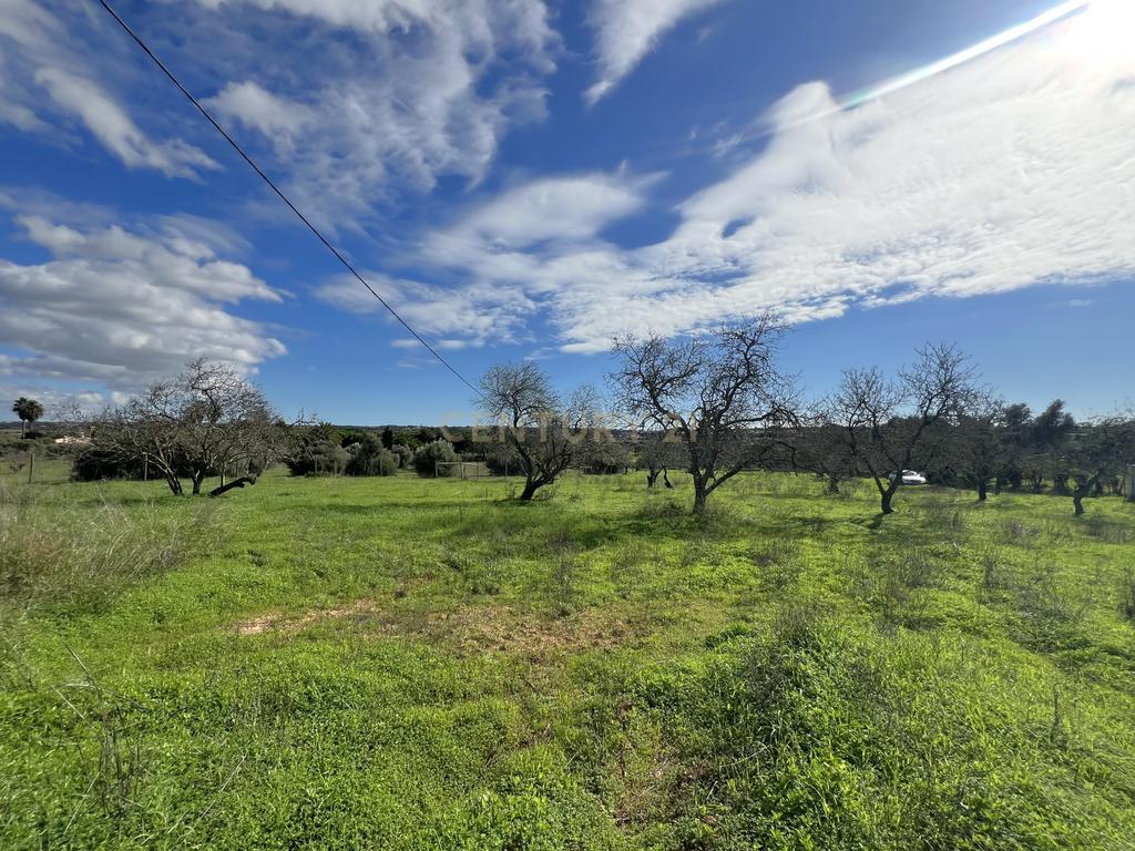 Quinta com ruína com uma área total de 16.970m2 e projeto aprovado para construção até 300m2, apenas a 5 minutos das praias. - Image 14