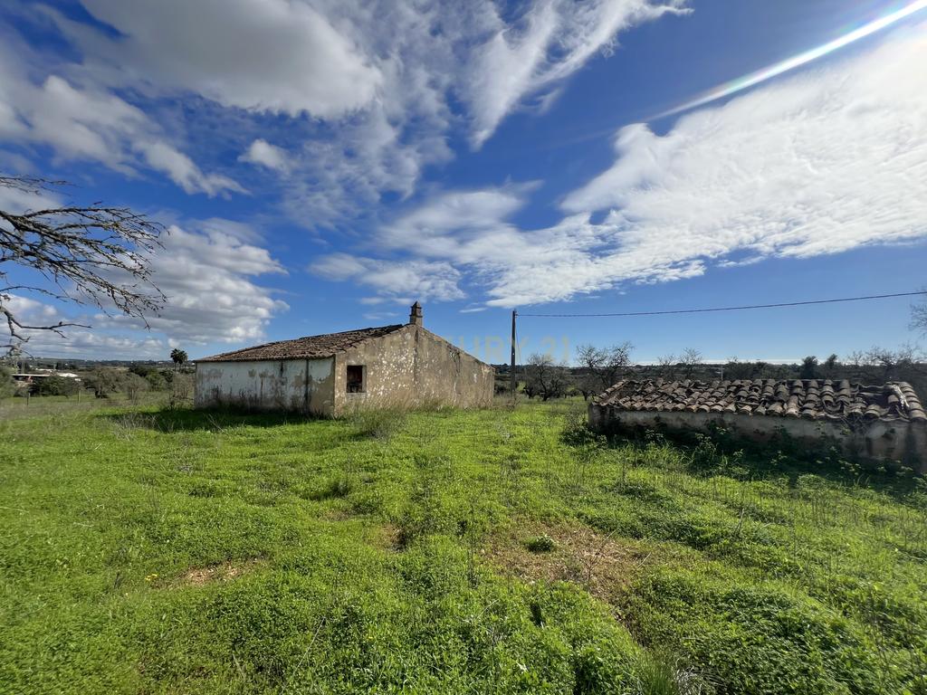 Quinta com ruína com uma área total de 16.970m2 e projeto aprovado para construção até 300m2, apenas a 5 minutos das praias. - Image 13