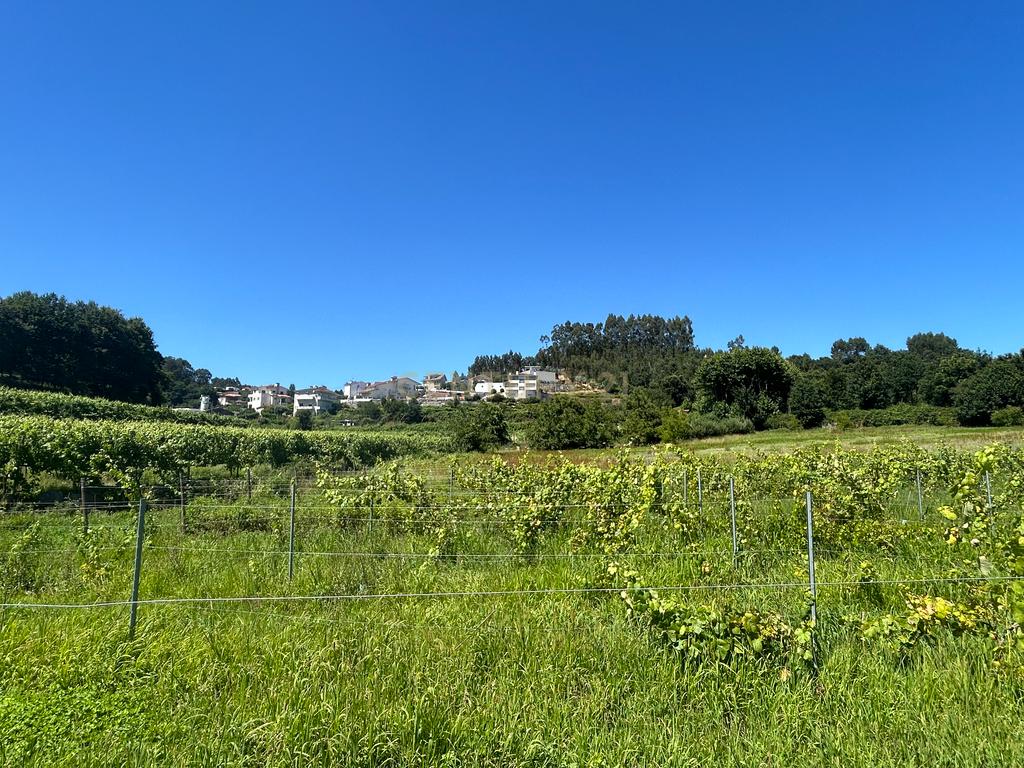 **ESPECTACULAR MORADIA T4+1 EM PAREDES, COM RECHEIO INCLUIDO** - Image 54