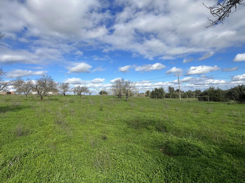 Quinta com ruína com uma área total de 16.970m2 e projeto aprovado para construção até 300m2, apenas a 5 minutos das praias. - Image 19