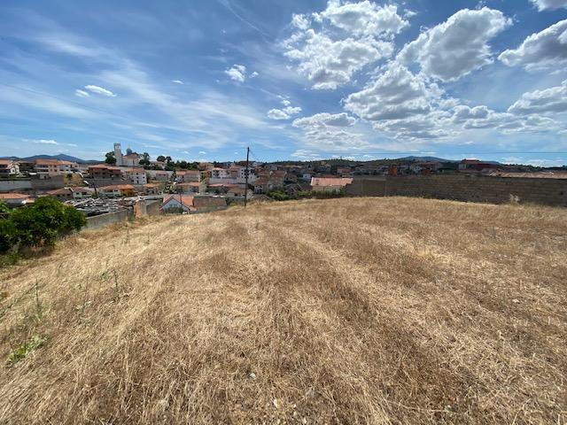 Terreno com 2333m2 de lote com duas frentes de rua em Golfeiras - Image 4
