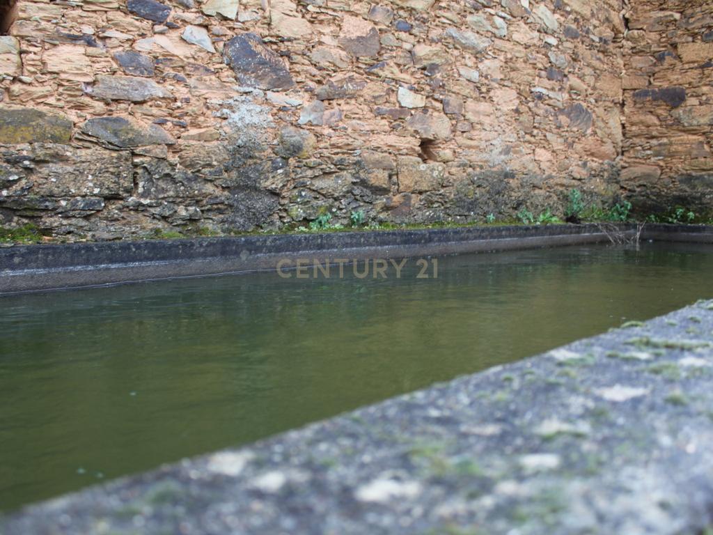 Casa de Campo na Lameirinha - Image 16