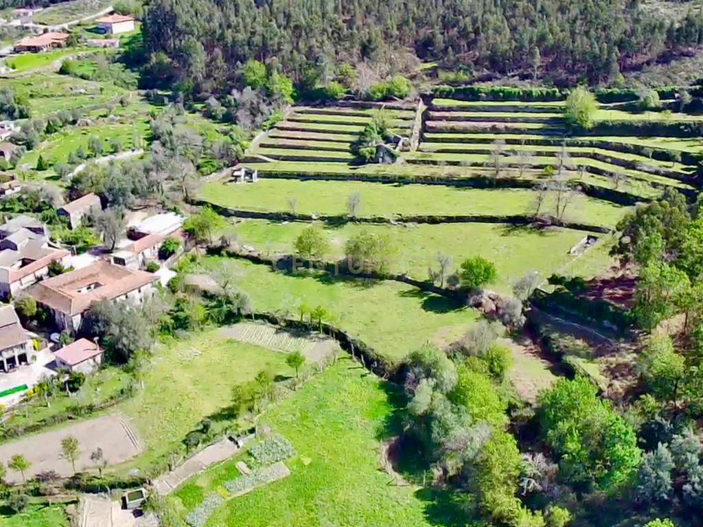 Quinta em Sobradelo da Goma, Povoa de Lanhoso (Permuta) - Image 95