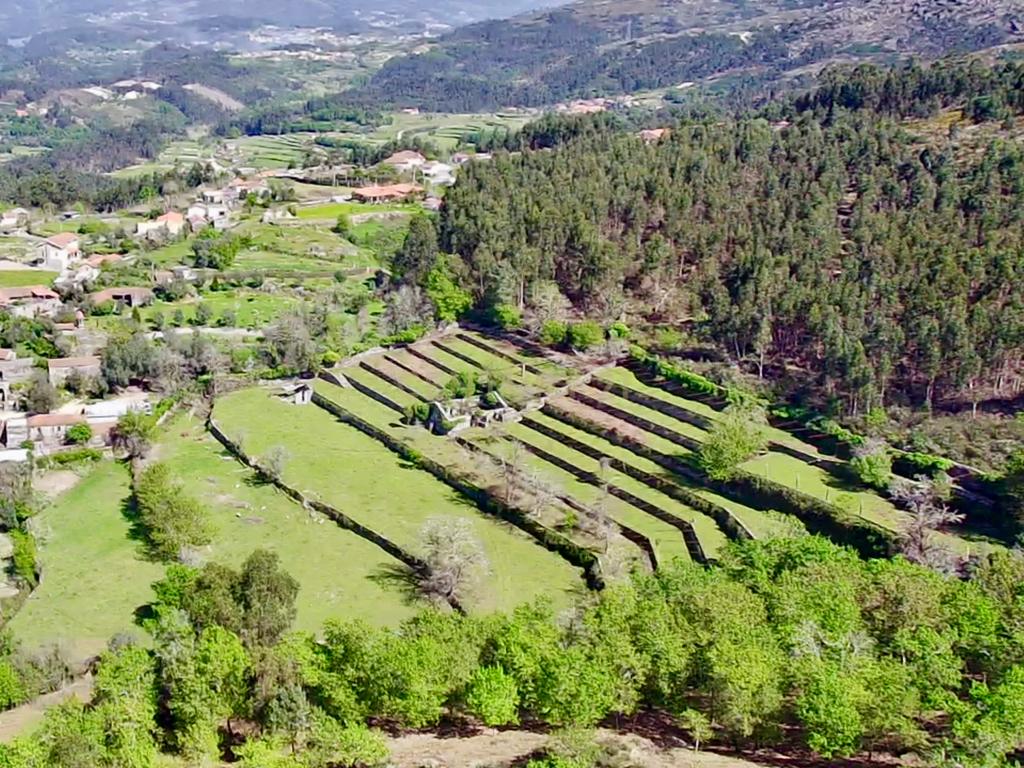 Quinta em Sobradelo da Goma, Povoa de Lanhoso (Permuta) - Image 72