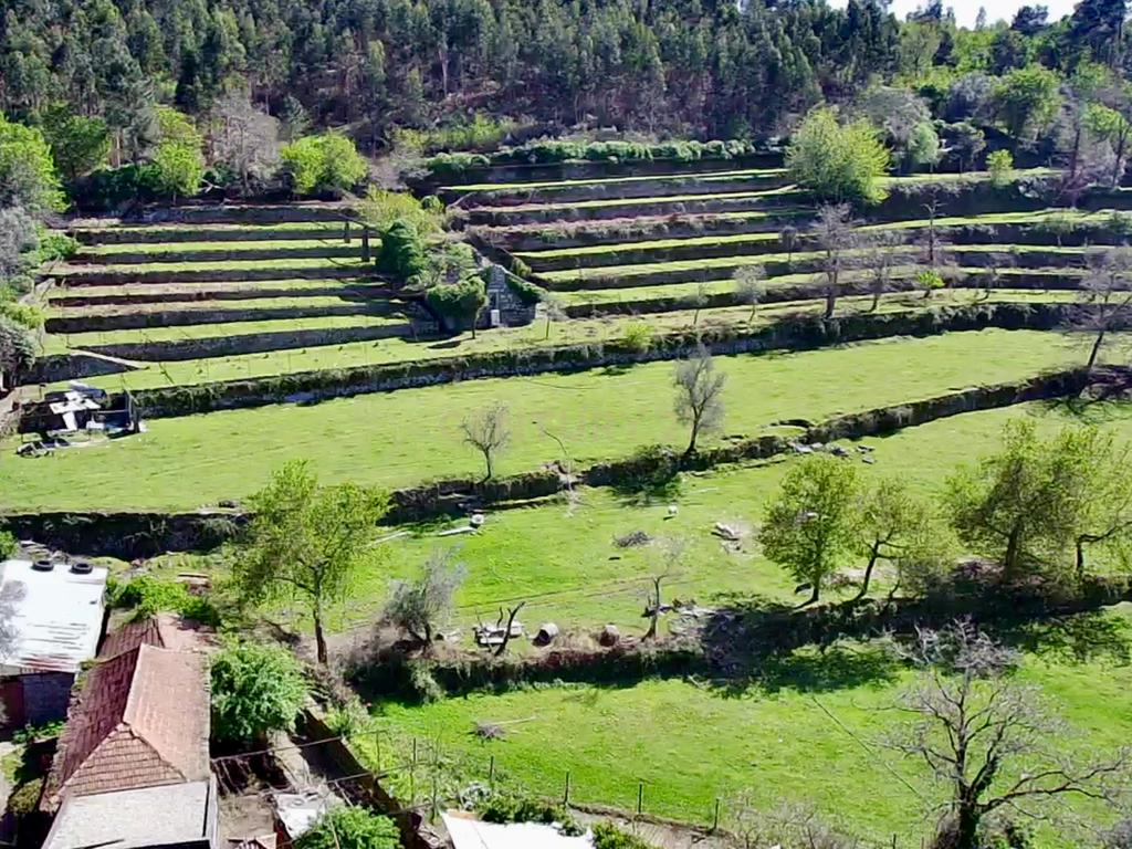 Quinta em Sobradelo da Goma, Povoa de Lanhoso (Permuta) - Image 73