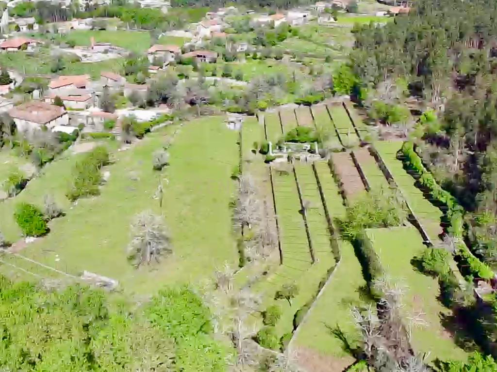Quinta em Sobradelo da Goma, Povoa de Lanhoso (Permuta) - Image 40