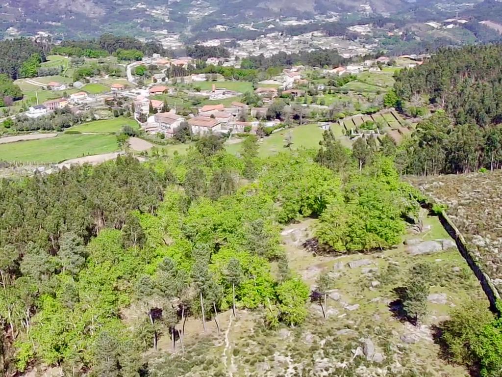 Quinta em Sobradelo da Goma, Povoa de Lanhoso (Permuta) - Image 94