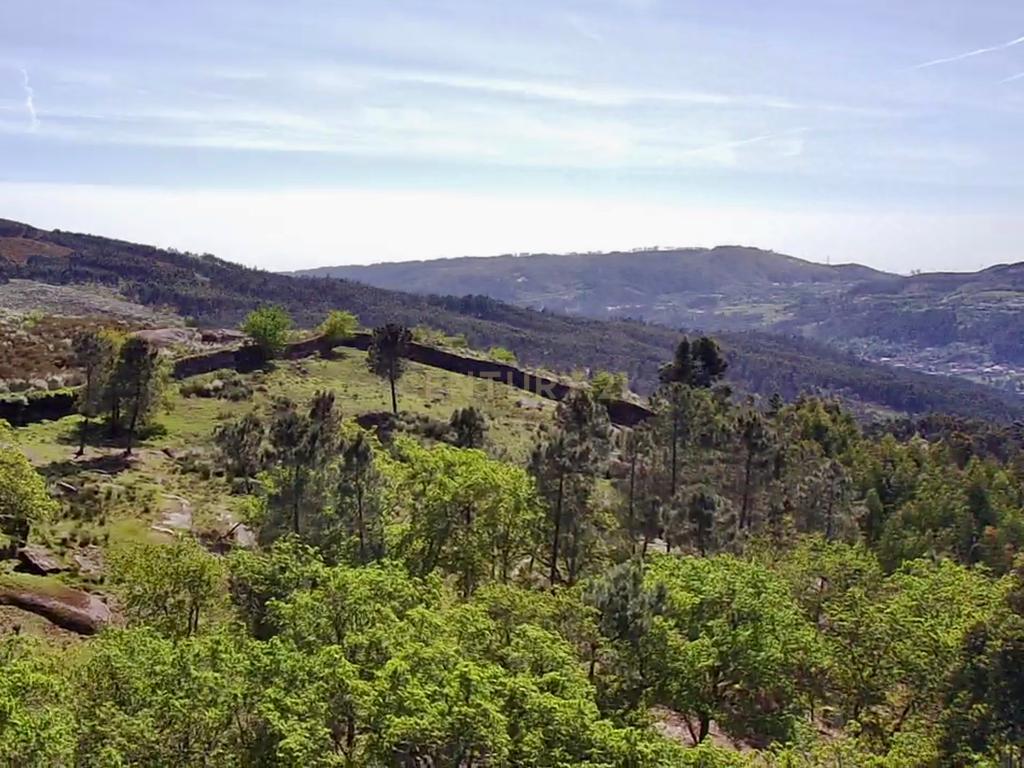 Quinta em Sobradelo da Goma, Povoa de Lanhoso (Permuta) - Image 93