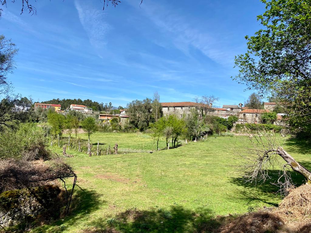 Quinta em Sobradelo da Goma, Povoa de Lanhoso (Permuta) - Image 46