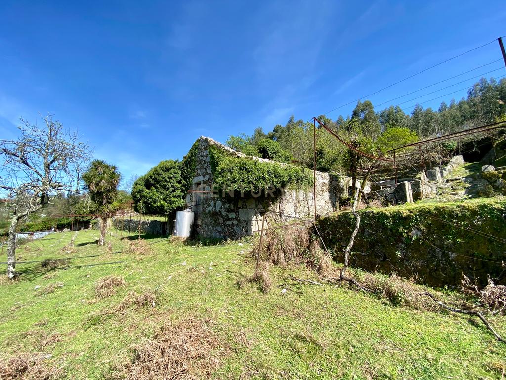 Quinta em Sobradelo da Goma, Povoa de Lanhoso (Permuta) - Image 55