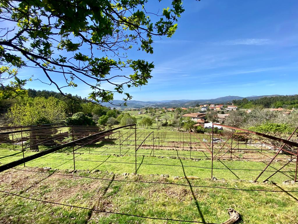Quinta em Sobradelo da Goma, Povoa de Lanhoso (Permuta) - Image 50