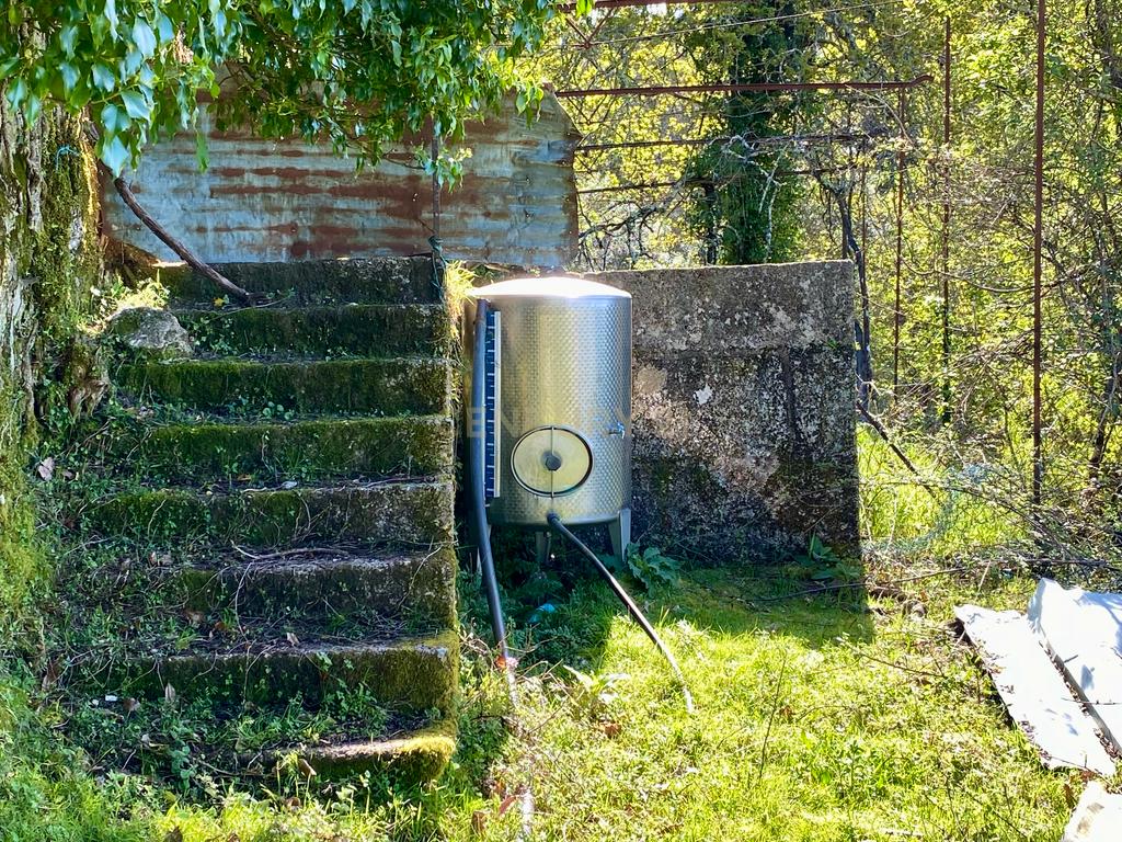 Quinta em Sobradelo da Goma, Povoa de Lanhoso (Permuta) - Image 65