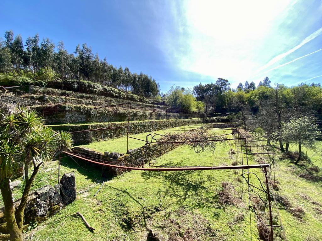 Quinta em Sobradelo da Goma, Povoa de Lanhoso (Permuta) - Image 62