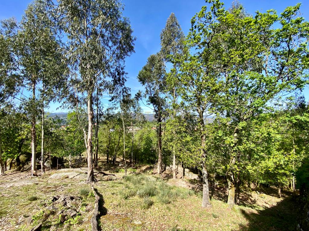Quinta em Sobradelo da Goma, Povoa de Lanhoso (Permuta) - Image 78
