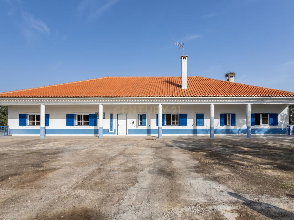 Moradia T4 em Herdade de 9,5 ha - Image 2