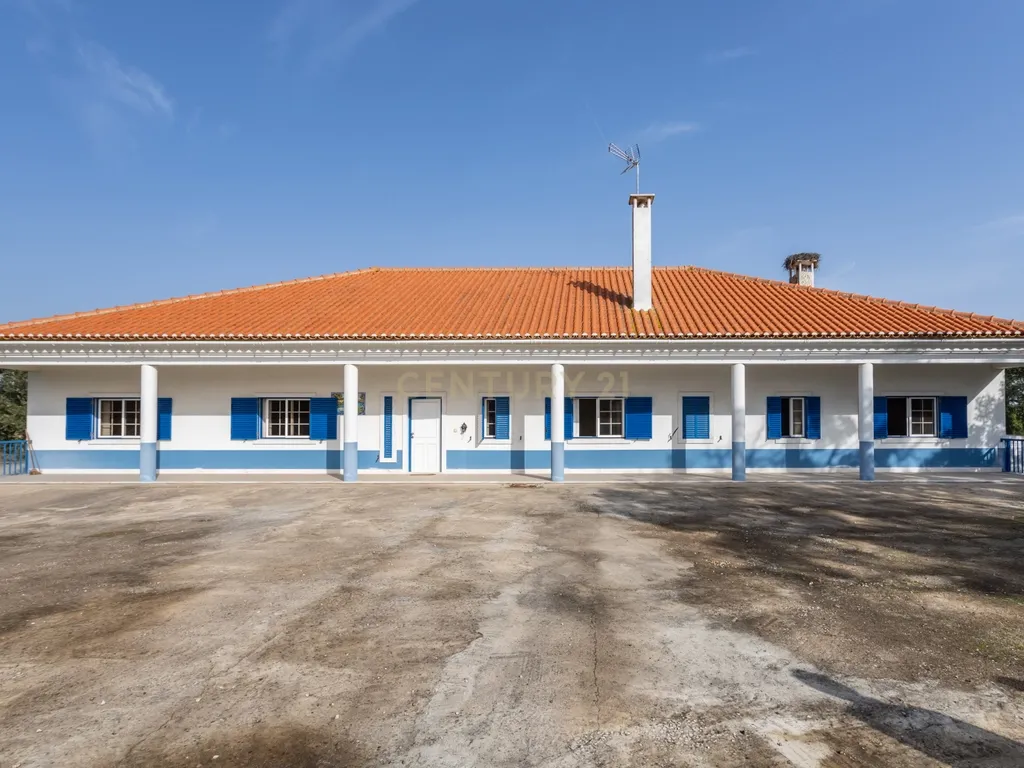 Moradia T4 em Herdade de 9,5 ha - Image 2