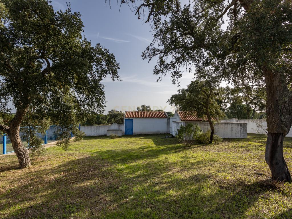 Moradia T4 em Herdade de 9,5 ha - Image 6