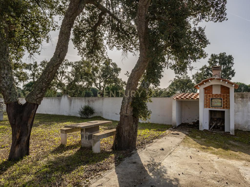 Moradia T4 em Herdade de 9,5 ha - Image 4