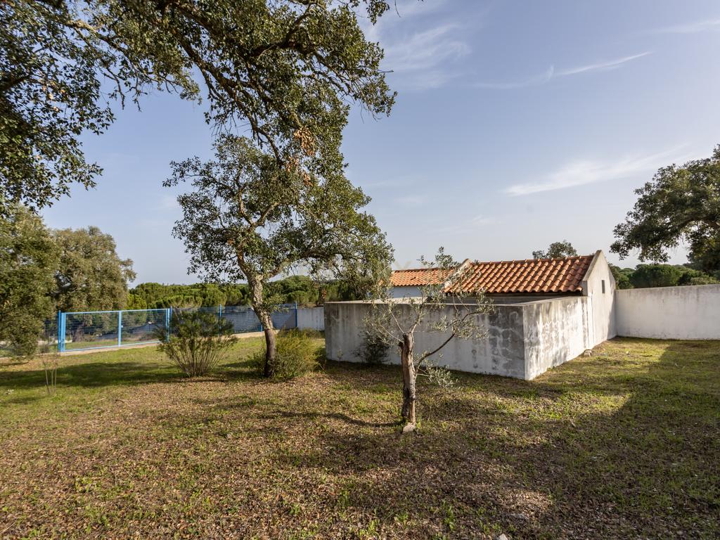 Moradia T4 em Herdade de 9,5 ha - Image 5