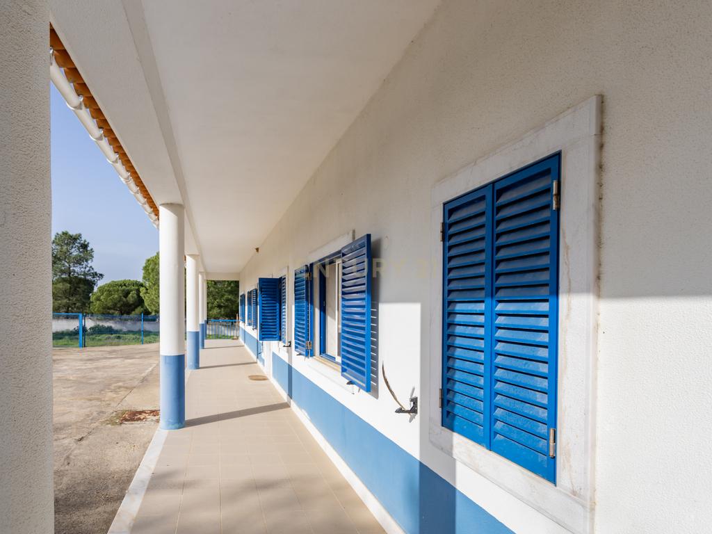 Moradia T4 em Herdade de 9,5 ha - Image 7