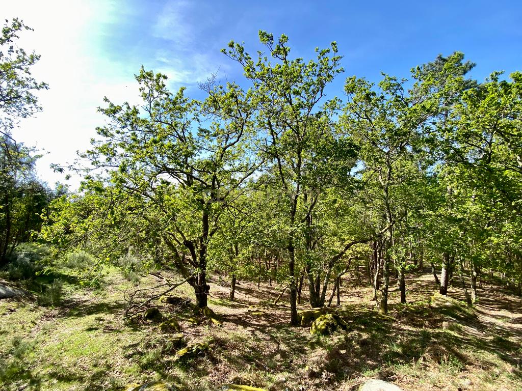 Quinta em Sobradelo da Goma, Povoa de Lanhoso (Permuta) - Image 81
