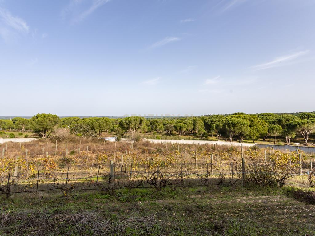 Moradia T4 em Herdade de 9,5 ha - Image 49