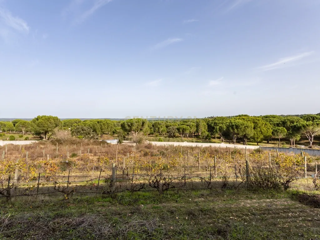 Moradia T4 em Herdade de 9,5 ha - Image 49