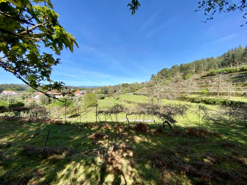 Quinta em Sobradelo da Goma, Povoa de Lanhoso (Permuta) - Image 71